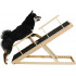 Dog Ramp Dog Ramp