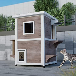 Outdoor Cat House