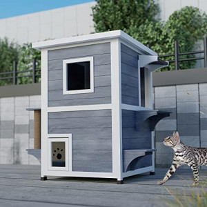 Outdoor Cat House